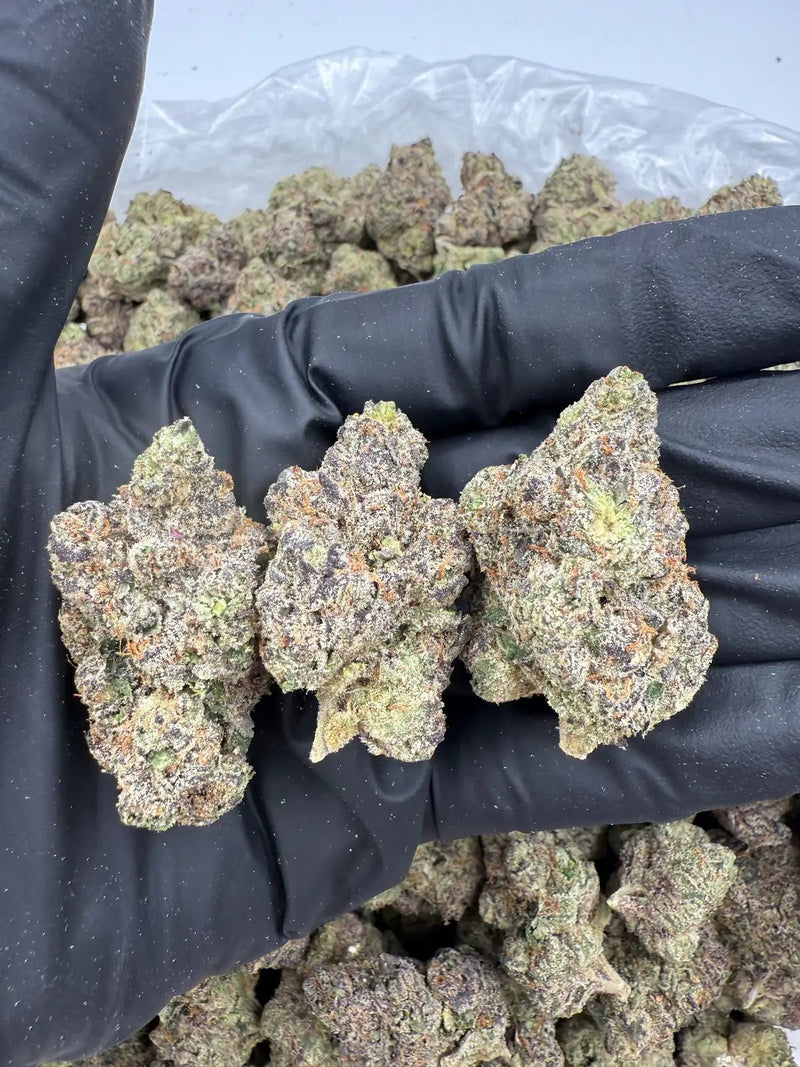 DS - Bulk Thca Indoor Exotic Flower - Blue Andeze 28.01% - Indica - Bandit Distribution