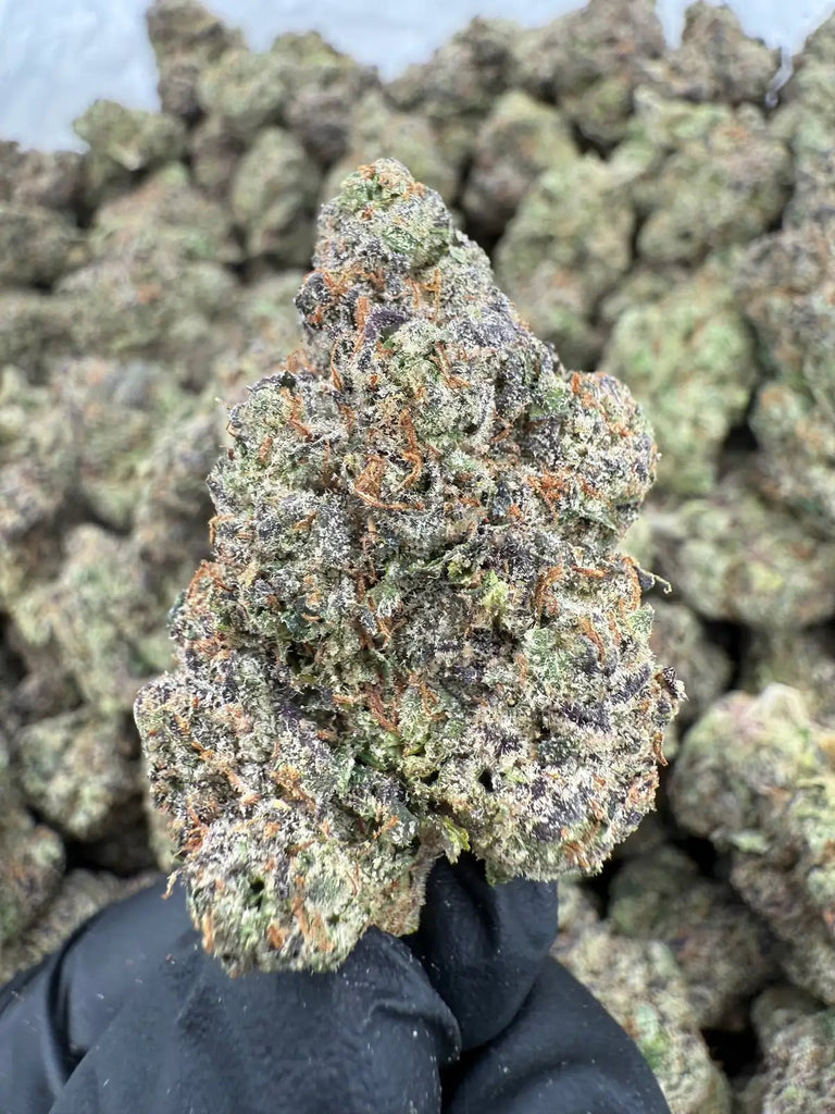 DS - Bulk Thca Indoor Exotic Flower - Blue Andeze 28.01% - Indica - Bandit Distribution