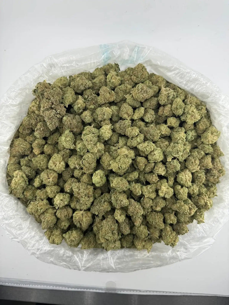 DS - Bulk Thca Indoor Exotic Flower - Frost 31.29% - Sativa - Bandit Distribution