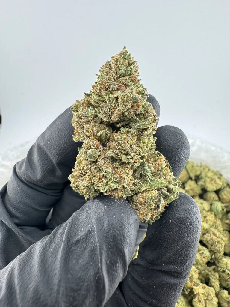 DS - Bulk Thca Indoor Exotic Flower - Frost 31.29% - Sativa - Bandit Distribution