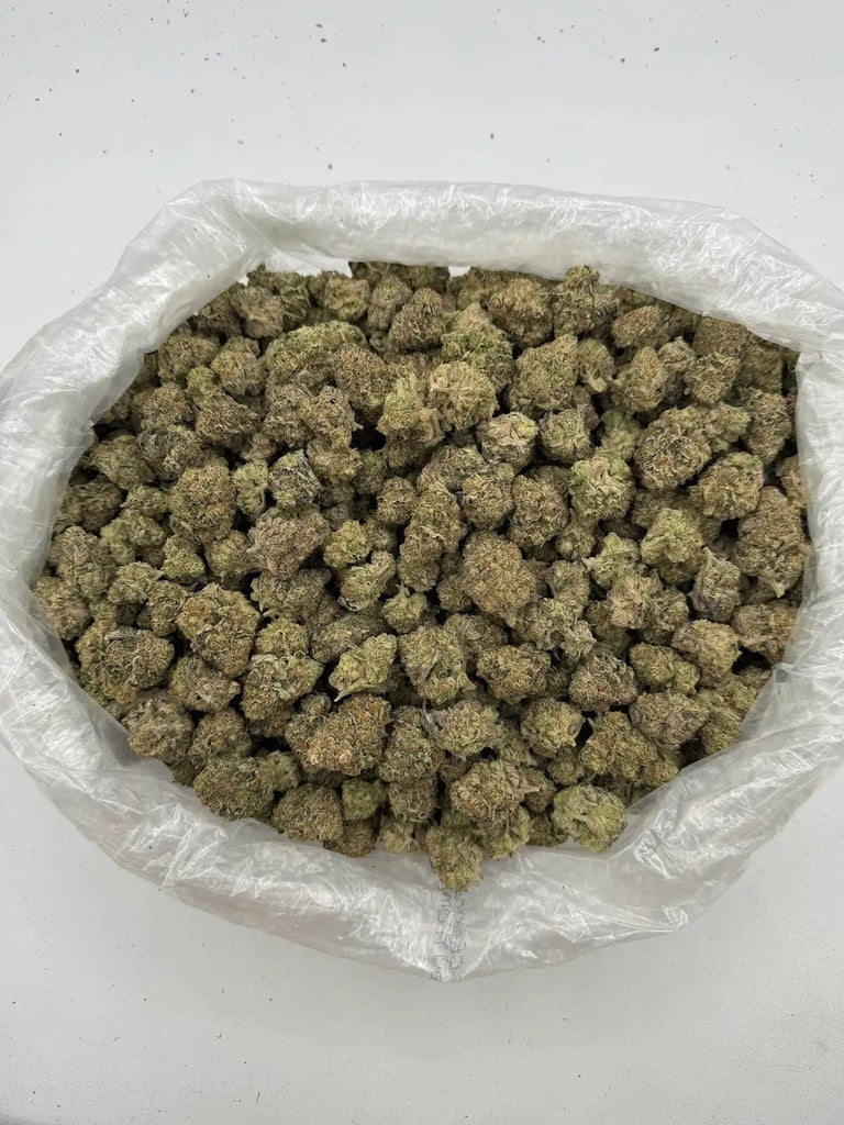 DS - Bulk Thca Indoor Exotic Flower - Future Haze 32.12% - Sativa - Bandit Distribution