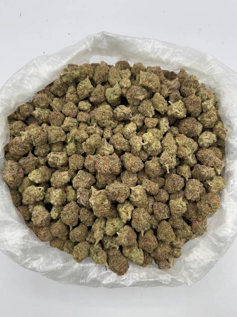 DS - Bulk Thca Indoor Exotic Flower - Grape Bubblegum 27.26% - Hybrid - Bandit Distribution
