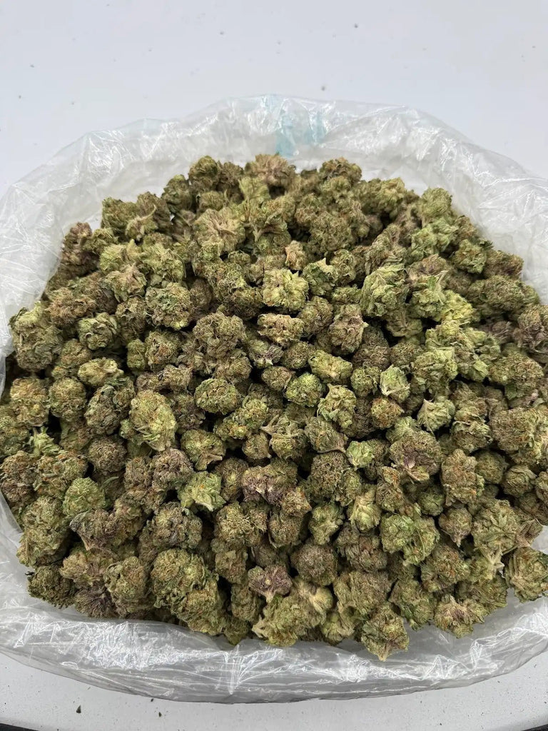 DS - Bulk Thca Indoor Exotic Flower - Miami Yayo 32.77% - Indica - Bandit Distribution