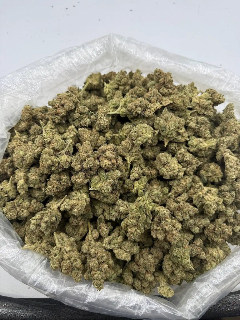 DS - Bulk Thca Indoor Exotic Flower - OG 33.38% - Indica - Bandit Distribution