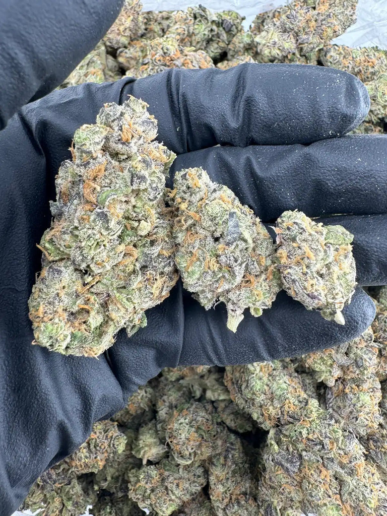 DS - Bulk Thca Indoor Exotic Flower - Reezes Peezes 33.12% - Indica - Bandit Distribution