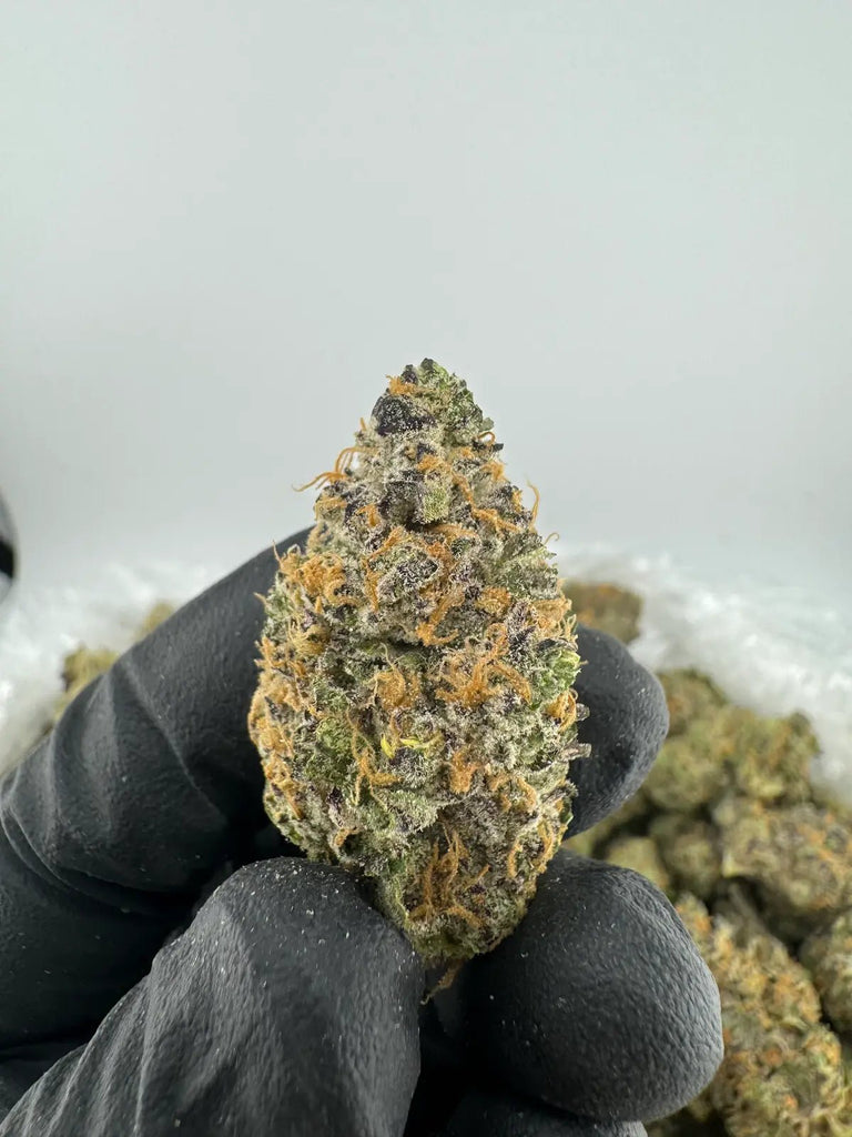 DS - Bulk Thca Indoor Exotic Flower - Reezes Peezes 33.12% - Indica - Bandit Distribution