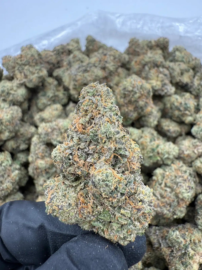 DS - Bulk Thca Indoor Exotic Flower - Stardawg 32.75% - Sativa - Bandit Distribution