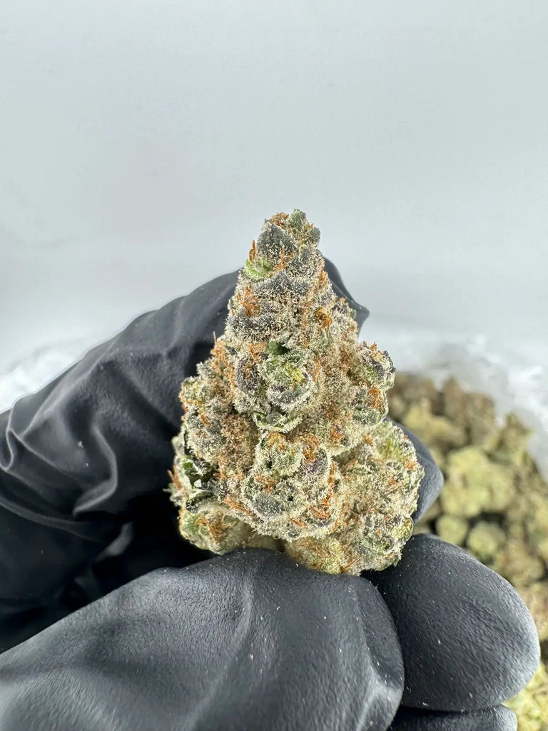 DS - Bulk Thca Indoor Exotic Flower - Strawberries & Cream 32.59% - Bandit Distribution