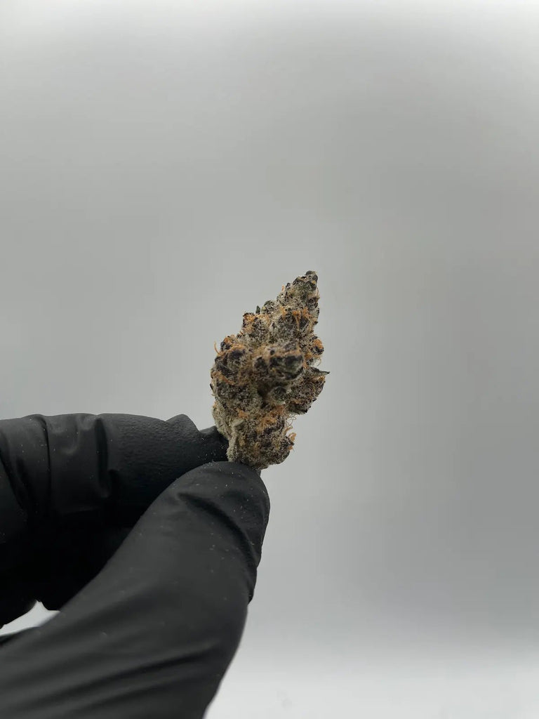 DS - Bulk Thca Indoor Exotic Flower - SuperBoof 32.75% - Hybrid - Bandit Distribution