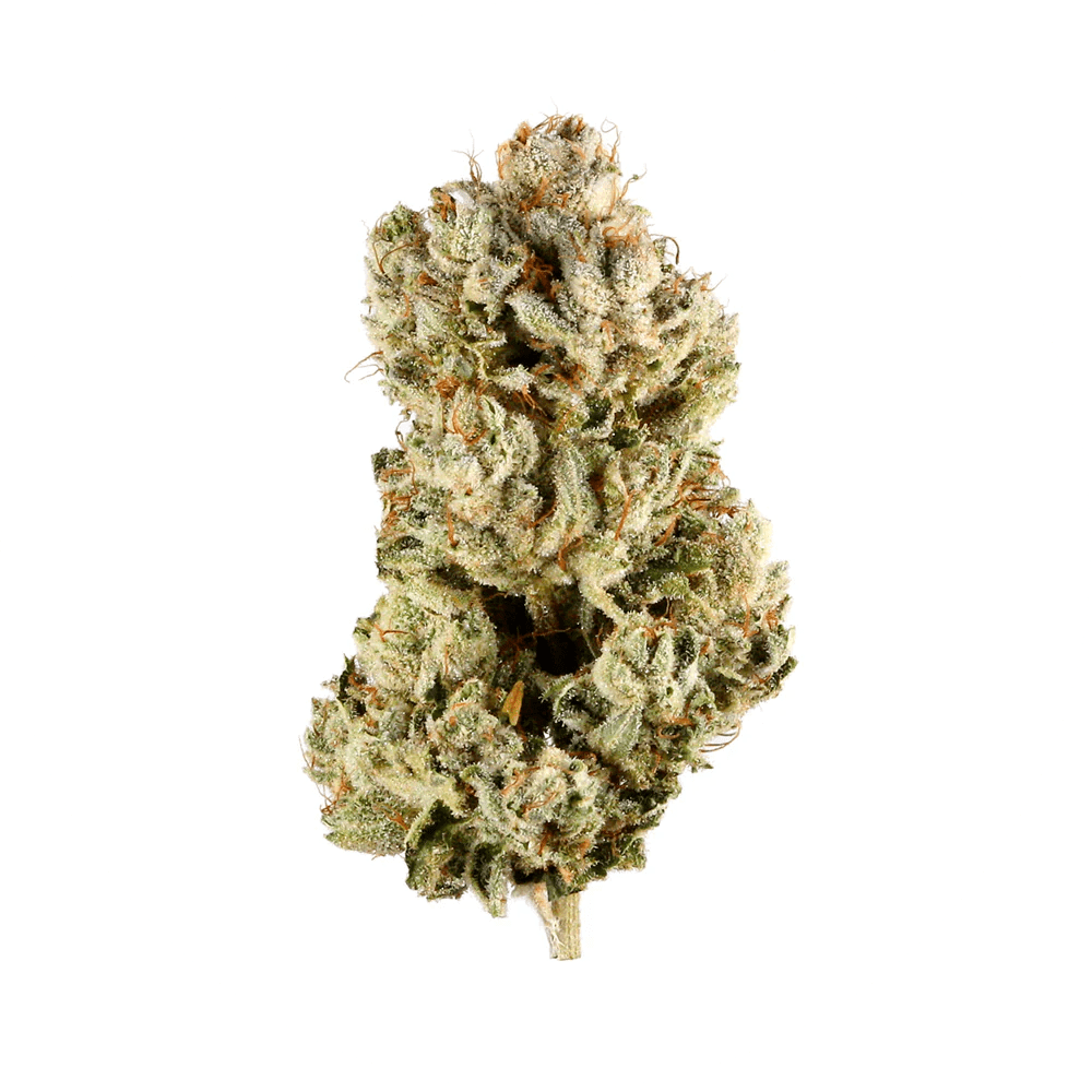 Schmack 3.5g THCA Flower Pouch - Skywalker OG Sativa - Single Pouch - Bandit Distribution