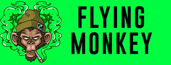 Flying monkey