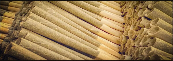 Wholesale CBD Pre Rolls &amp; Hemp Joints - #1 Supplier