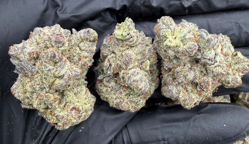 DS - Bulk Thca Indoor Plus Exotic - Espresso Cake - 28.91%