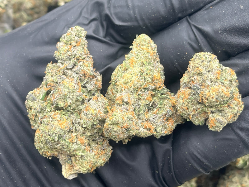 DS - Bulk Thca Indoor Plus Exotic - Crazy For Candy - 27.60%