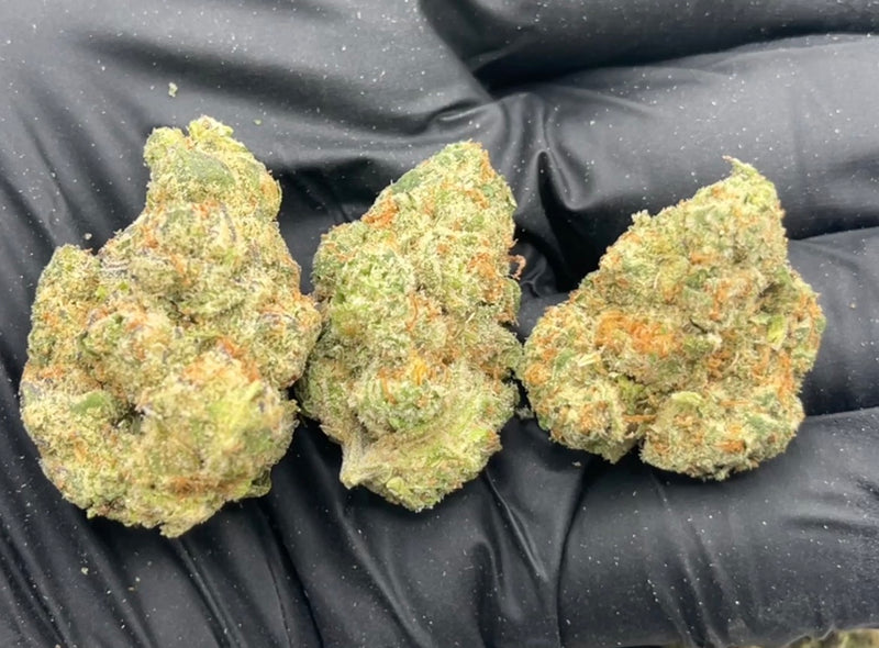 DS - Bulk Thca Indoor Plus Exotic - Godfather OG - 29.57%