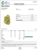 DS - Bulk Thca Indoor Plus Exotic - Black Widow - 31.75%