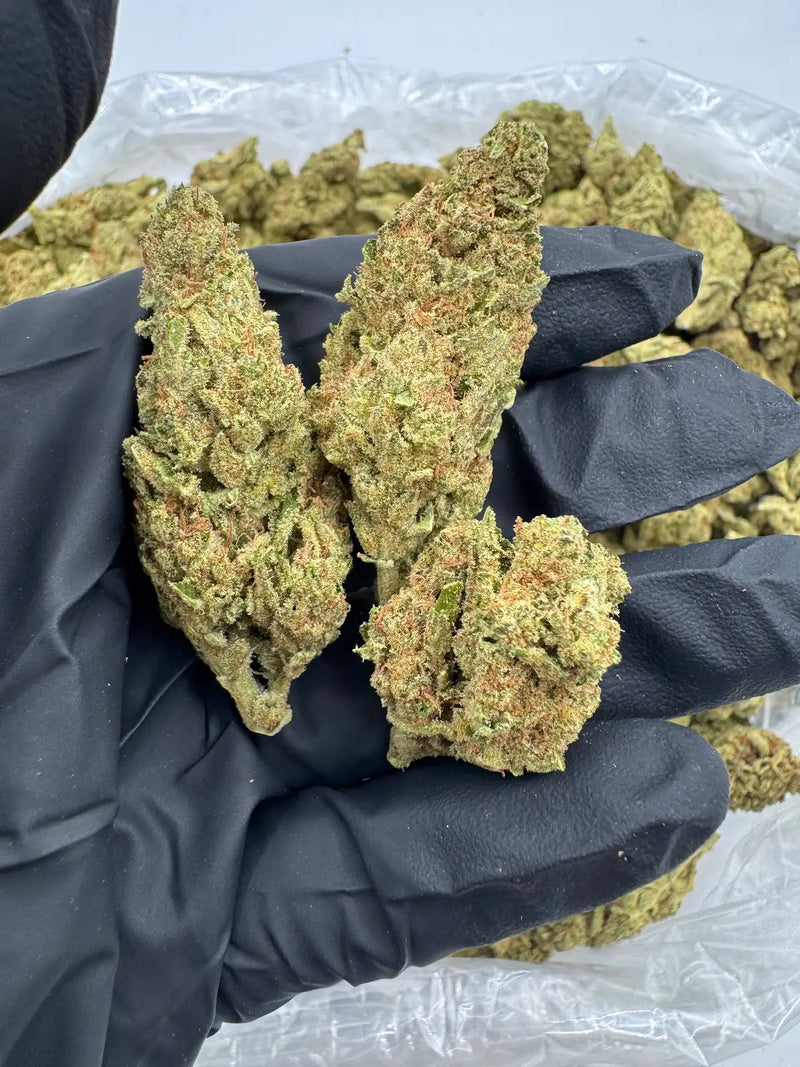 Bulk THCa AAA Depz - Lavender Jack - 31.44%