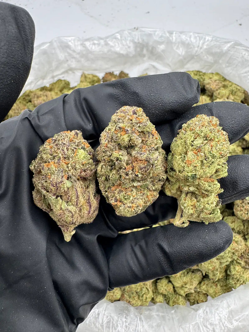 DS - Bulk Thca Indoor Exotic Flower - Bangkok Purple 32.77% - Sativa