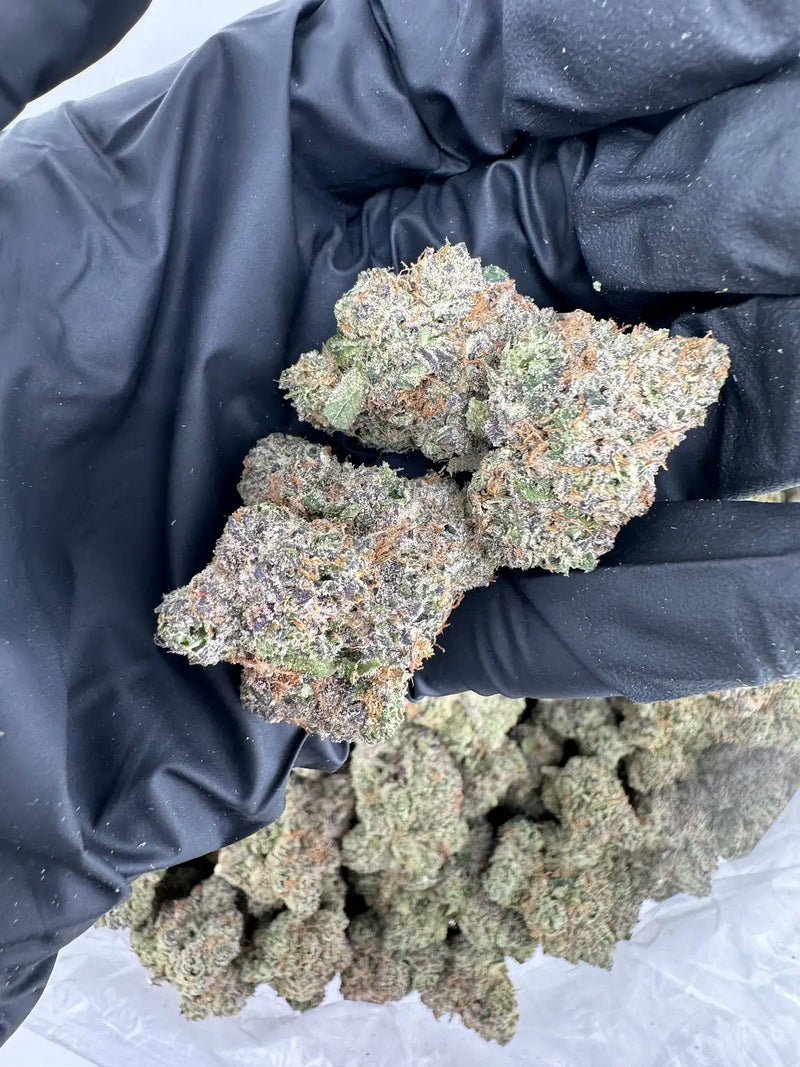 DS - Bulk Thca Indoor Exotic Flower - Cosmic Candy 32.13% - Hybrid