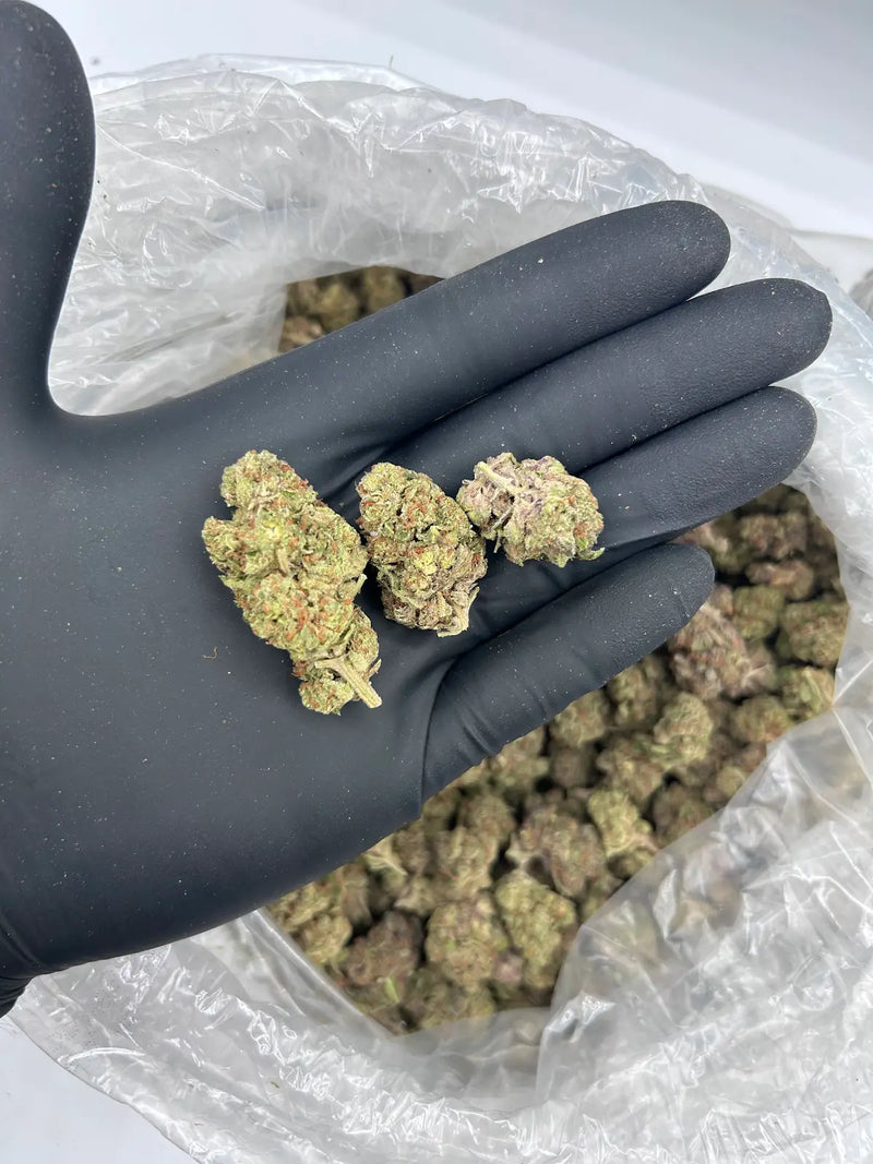 Bulk THCa AAA Depz - Medellin - 31.03%