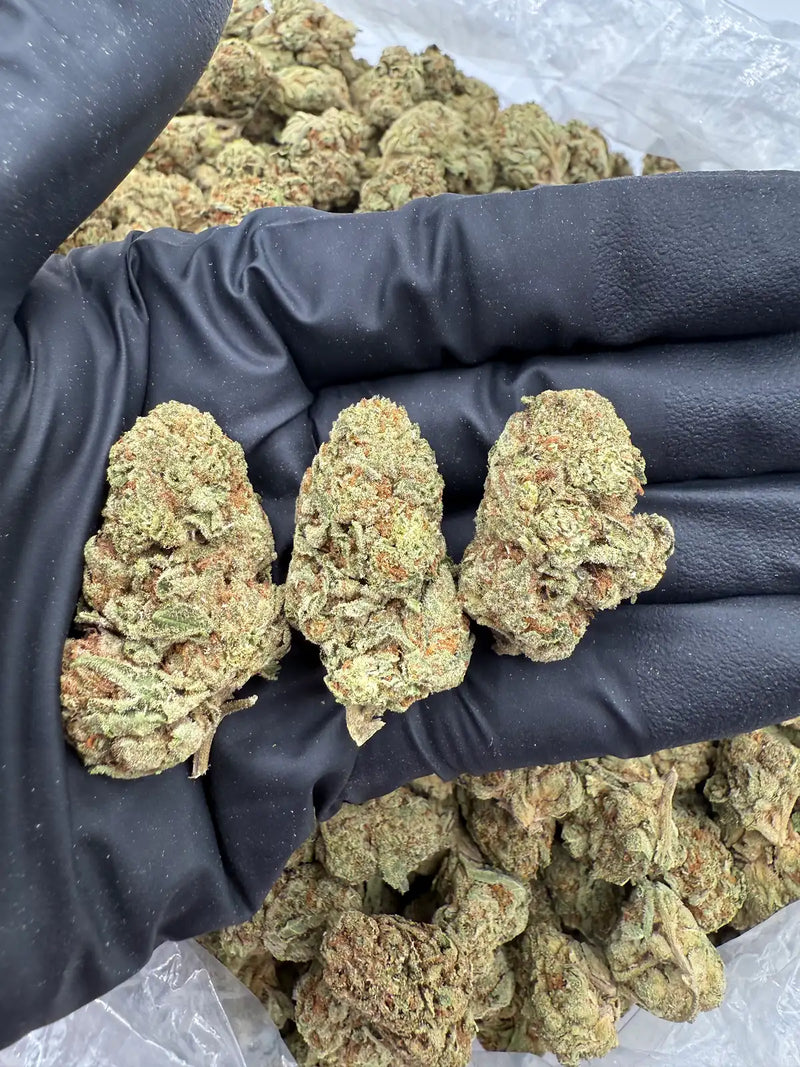 Bulk THCa AAA Depz - Triangle Kush - %