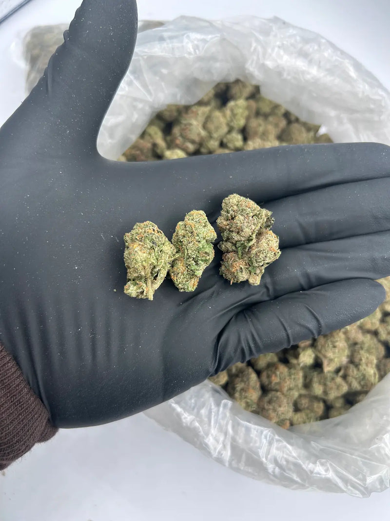 Bulk THCa AAA Depz - Melon Runtz - 30.19%