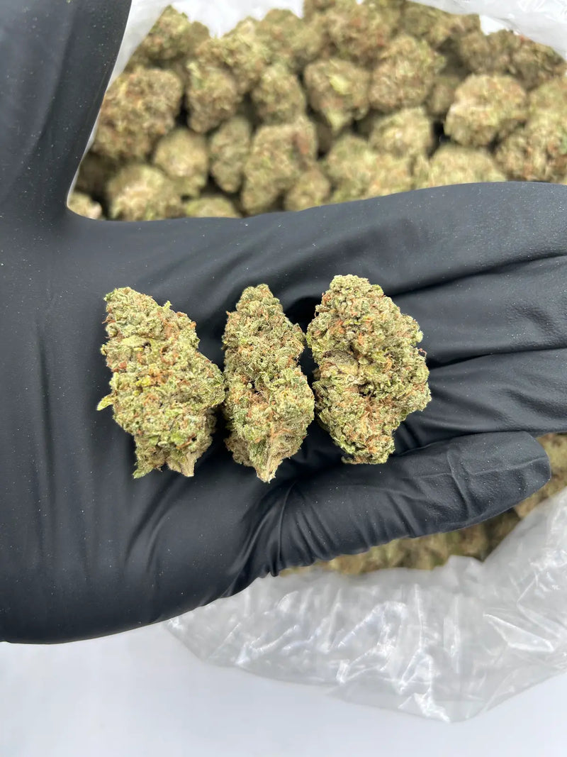 Bulk THCa AAA Depz - Glacier Deps- 31.16%