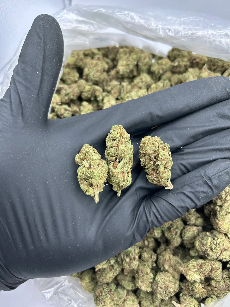 Bulk THCa AAA Depz - Lemonade - 32.80%