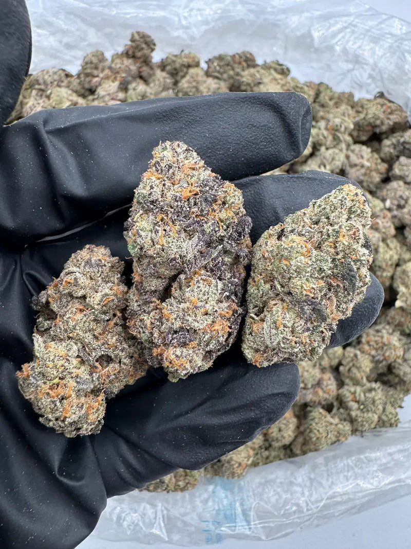 DS - Bulk Thca Indoor Exotic Flower - 24 Karat 30.05% - Sativa