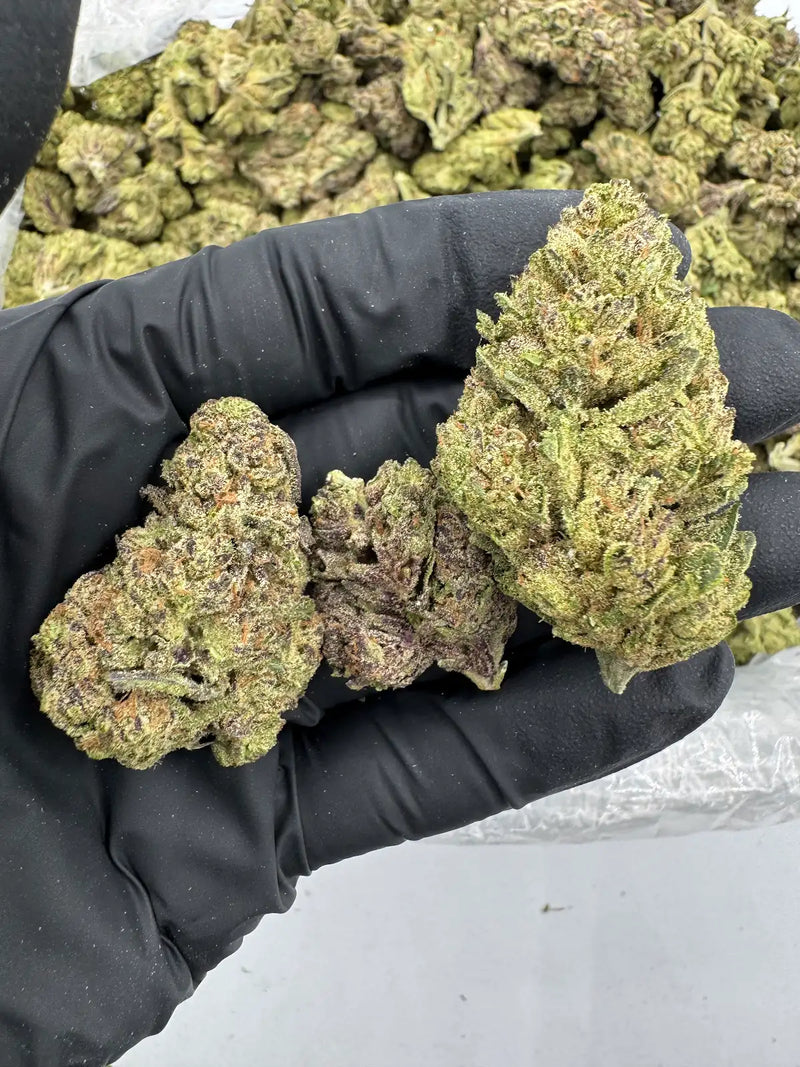 Bulk THCa AAA Depz - Jelly Donut - 32.65%