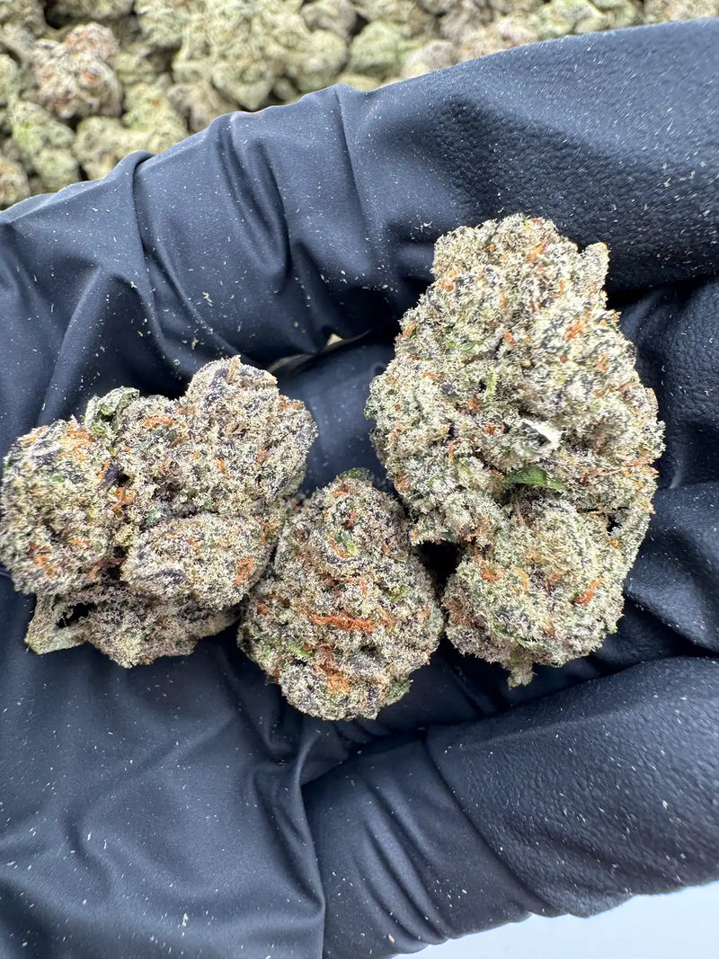 DS - Bulk Thca Indoor Exotic Flower - Georgia Pie 32.15% - Indica