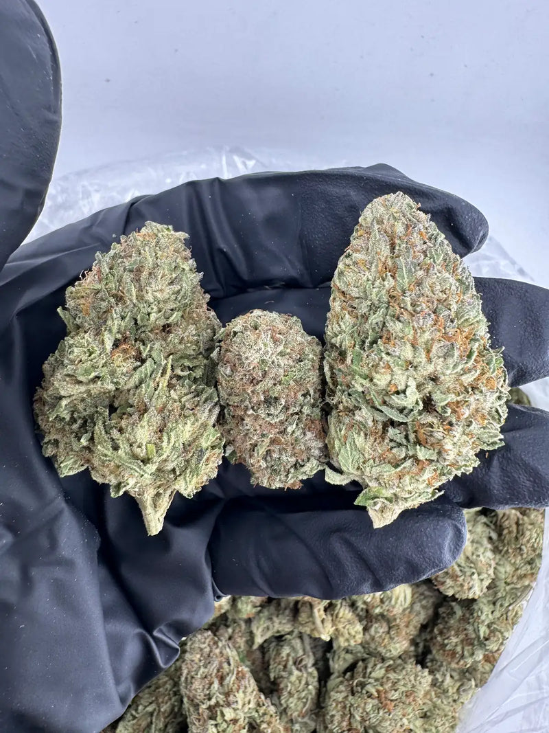 Bulk THCa AAA Depz - Guava Cake - 32.08%