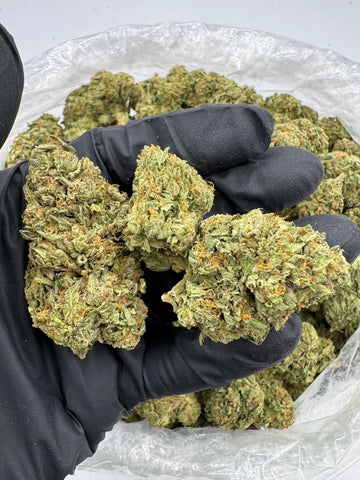 Bulk THCa AAA Depz PLUS - Gelato 41 - 34.49% - 1LB