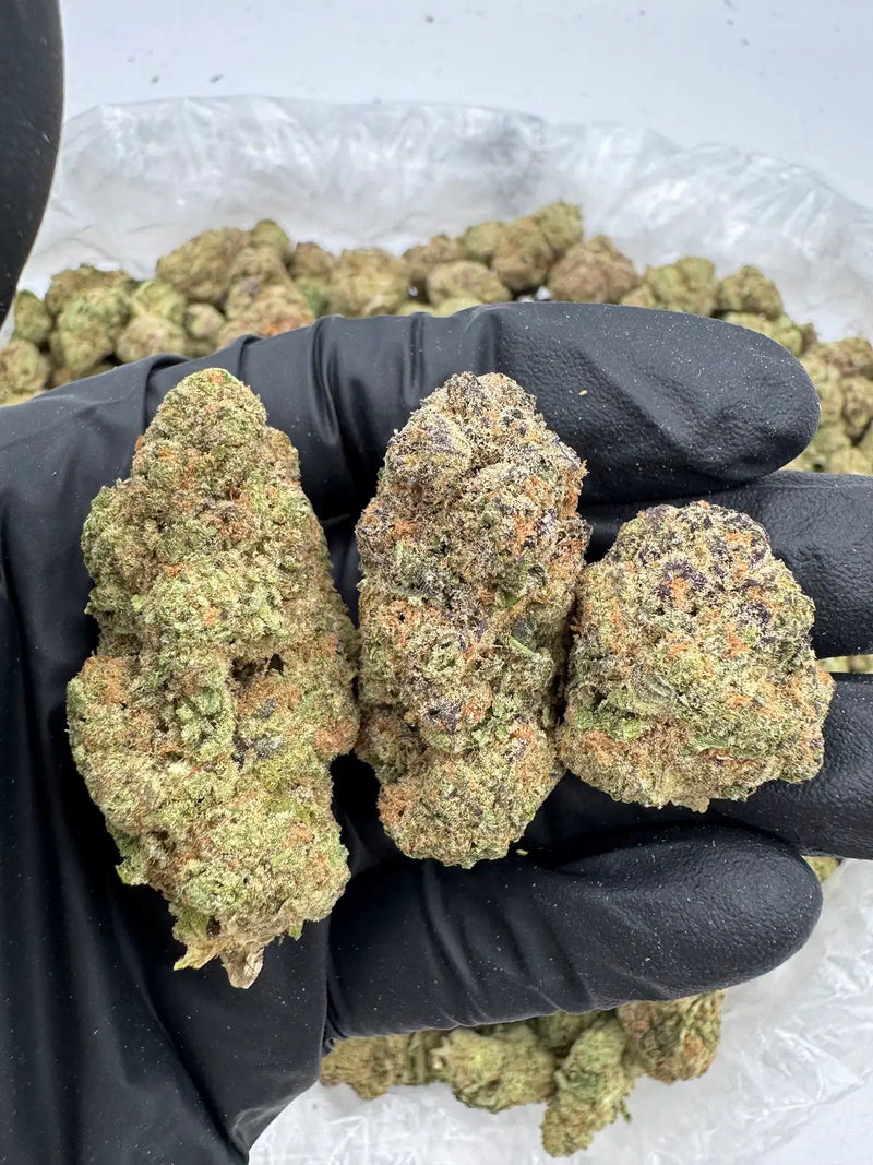 DS - Bulk Thca Indoor Exotic Flower - Blueberry Lemonade 32.84% - Indica