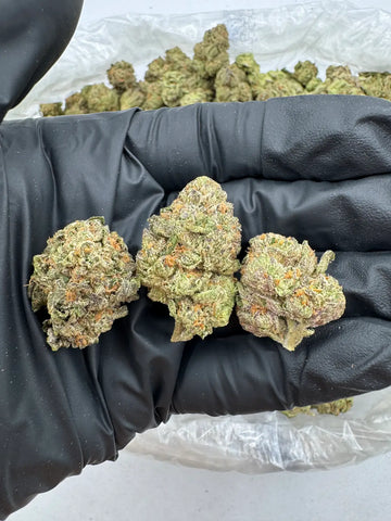 DS - Bulk Thca Indoor Exotic Flower - Blue Diesel - 33.26% - Indica