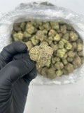 DS - Bulk Thca Indoor PLUS Exotics - Its A Secret - 31.44%