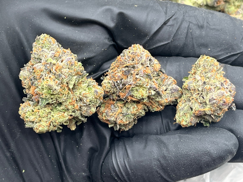 DS - Bulk Thca Indoor Plus Exotic - Purple Chem - 31.65%