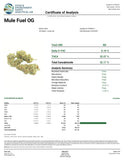 Bulk Exotic Indoor THCA Pre Rolls 1.5g Each - 25 Pack - Mule Fuel - 32.17% - Bandit Distribution