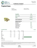 Bulk Exotic Indoor THCA Pre Rolls 1.5g Each - 25 Pack - Tropical Haze - 32.05% - Bandit Distribution