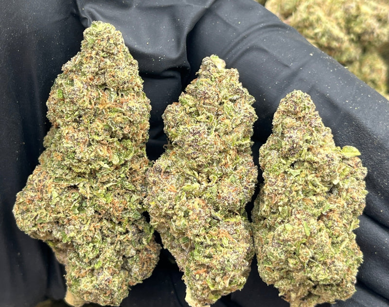 Bulk THCa AAA Depz - Agent Orange - % - 1LB - Bandit Distribution