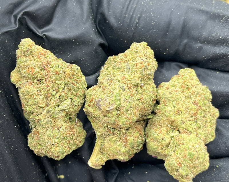 Bulk THCa AAA Depz - Apple Fritter - 30.55% - 1LB - Bandit Distribution