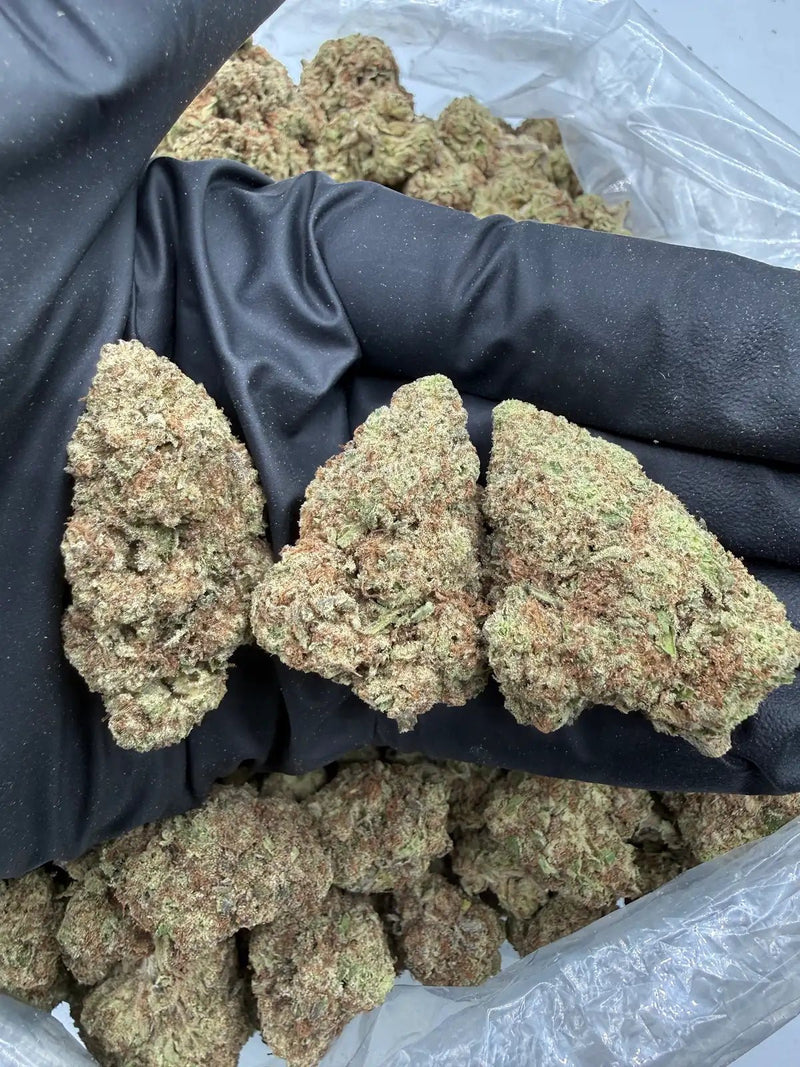 Bulk THCa AAA Depz - Blue Razz - 32.02% - 1LB - Bandit Distribution