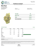 Bulk THCa AAA Depz - Blue Razz - 32.02% - 1LB - Bandit Distribution
