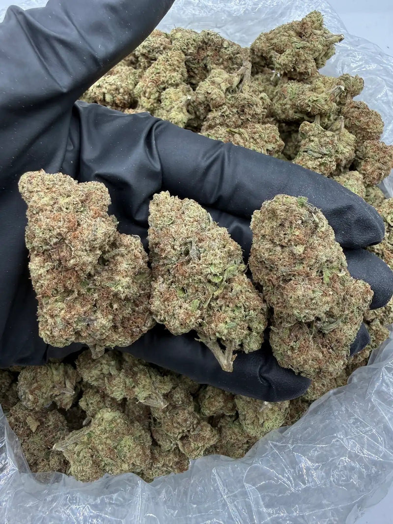 Bulk THCa AAA Depz - Blueberry Mac - 29.54% - 1LB - Bandit Distribution