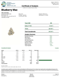 Bulk THCa AAA Depz - Blueberry Mac - 29.54% - 1LB - Bandit Distribution