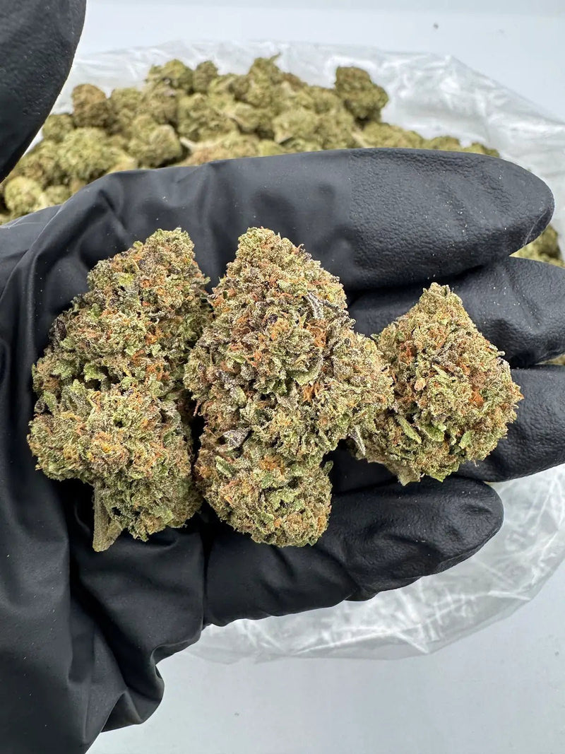 Bulk THCa AAA Depz - Candy Runtz - 32.49% - Bandit Distribution