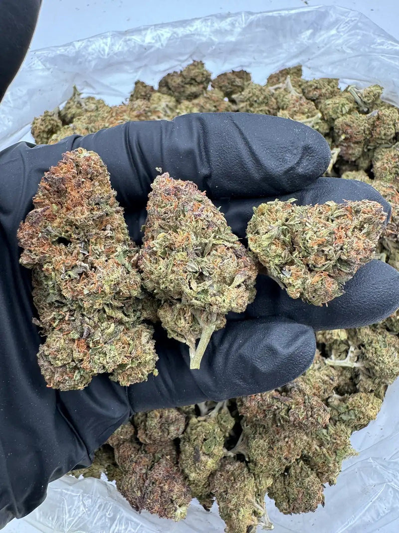 Bulk THCa AAA Depz - Carbon - 31.98% - Bandit Distribution