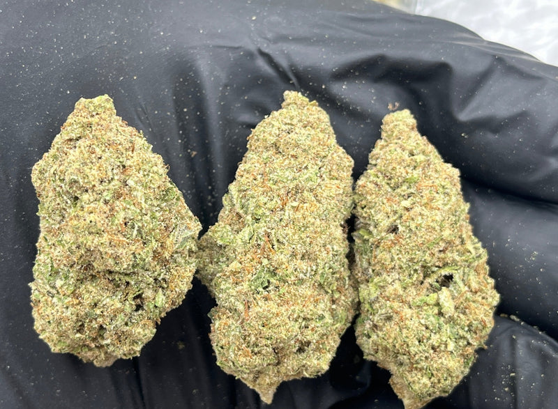 Bulk THCa AAA Depz - Cherry Cheesecake - 32.21% - 1LB - Bandit Distribution