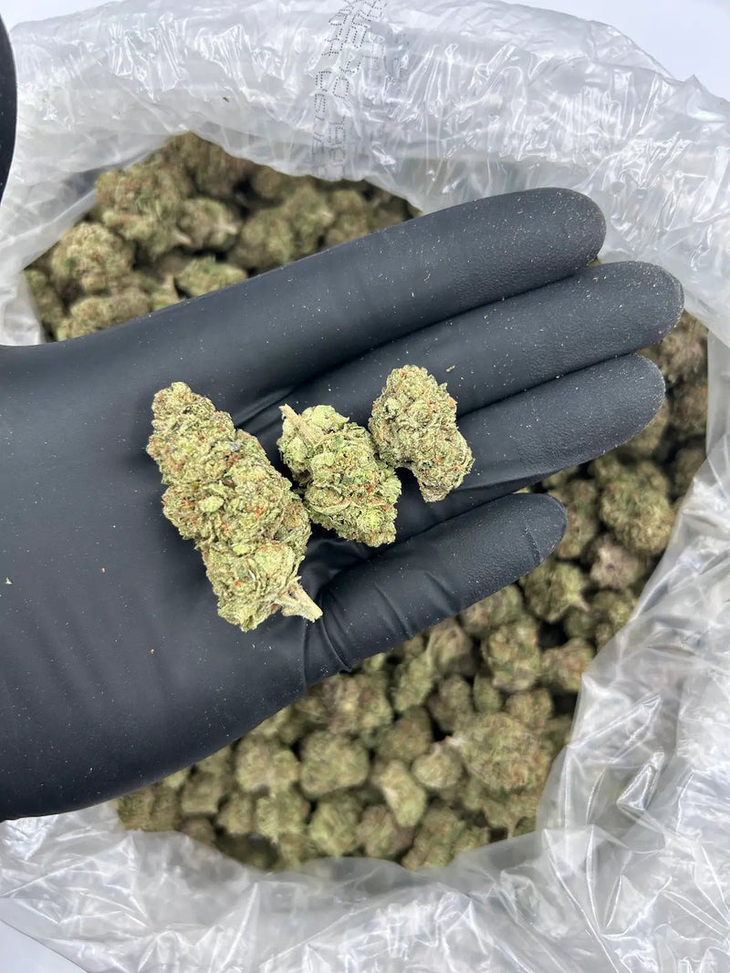 Bulk THCa AAA Depz - Garlotti Runtz - 31.57% - Bandit Distribution