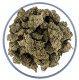 Bulk THCa AAA Depz - Gary Payton- 31.67%